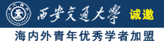 啊啊啊啊大鸡吧啊啊啊在线观看诚邀海内外青年优秀学者加盟西安交通大学