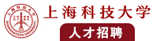 大黑吊操日本女人逼视频