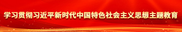 被大鸡巴操逼视频学习贯彻习近平新时代中国特色社会主义思想主题教育